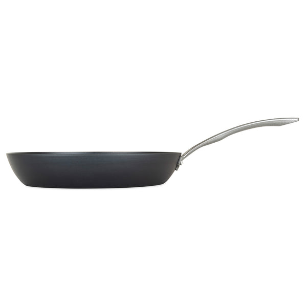  VIKING Culinary Blue Carbon Steel Steel Nonstick Fry