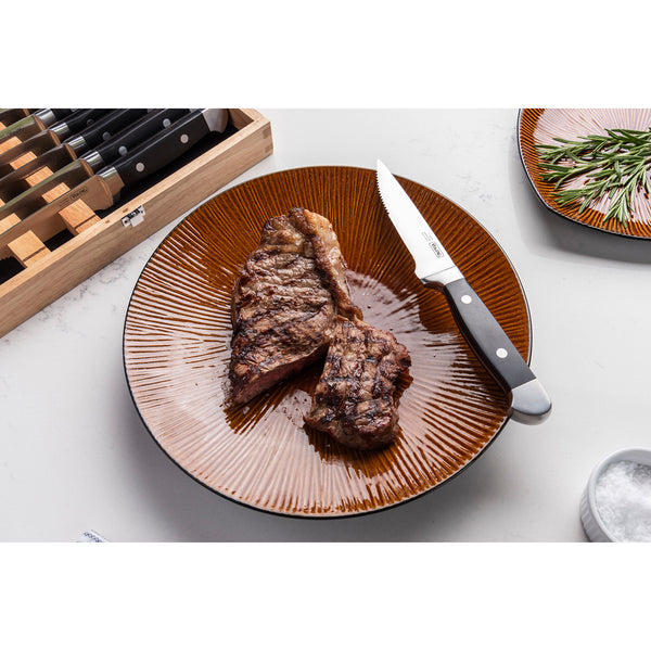 Chef's Secret 8pc Steak Knife Set